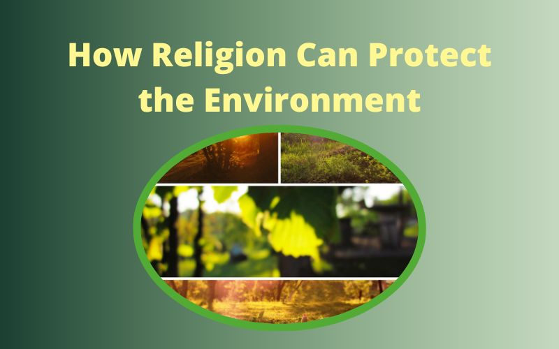 Read more about the article How Religion Can Protect the Environment